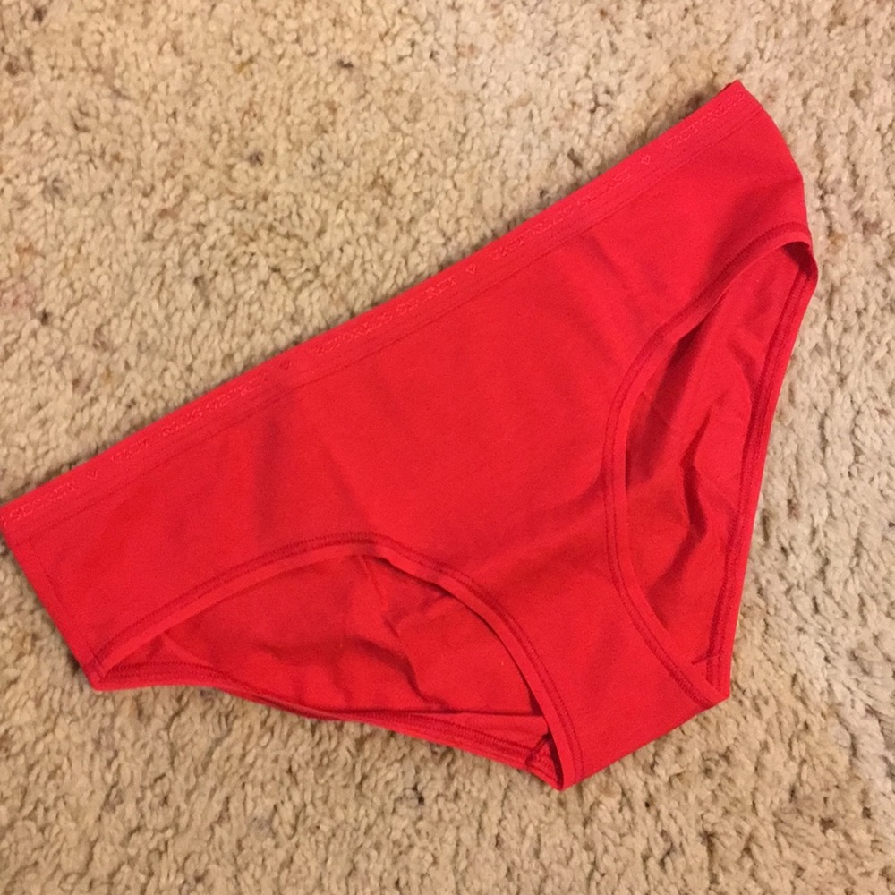 NWT VS PINK Holiday Panty - Picture 3 of 7